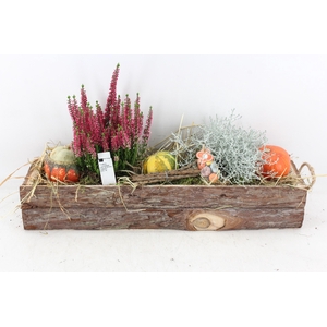 arr4 Outdoor PL - Hout rechthoek XL