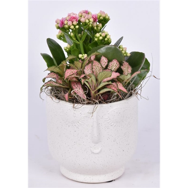 <h4>Face pot keramiek 11.5cm</h4>