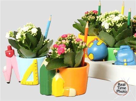 Arr Kamerpl Scool Ceramic