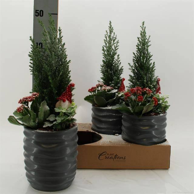 <h4>ARR KAMERPL</h4>