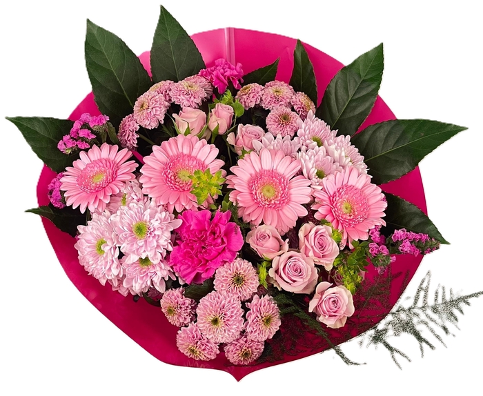 <h4>Bq Barbapapa pink L</h4>