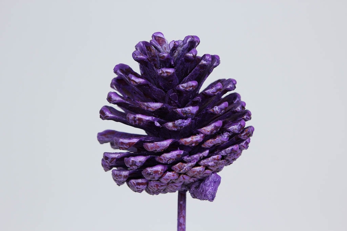 Pine cone 5-7cm on stem Metallic Purple Tipped