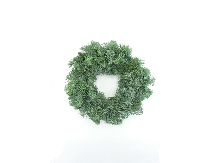 <h4>Krans Nobilis Rond 25cm</h4>