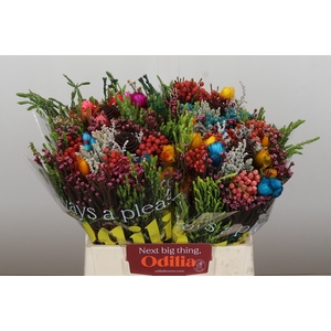 BQ Kaaps Groen Mandarin