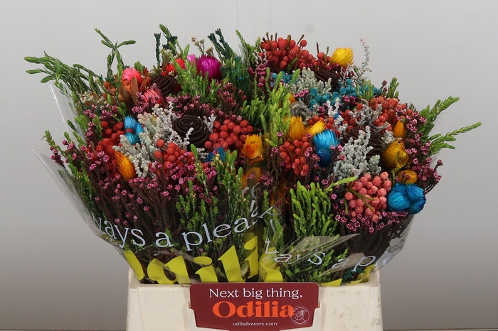 <h4>BQ Kaaps Groen Mandarin</h4>