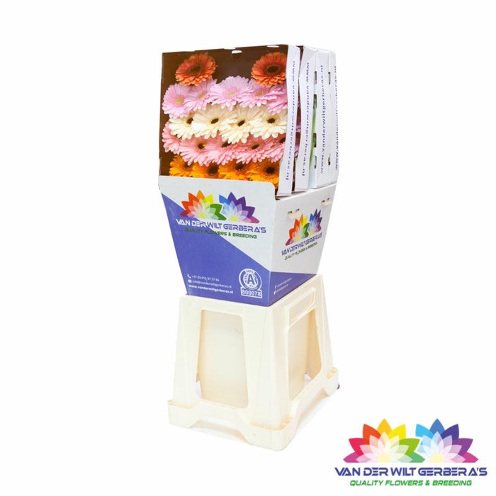 <h4>Germini Mix Pastel Diamond</h4>