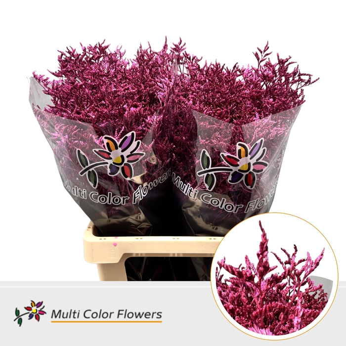 <h4>Limonium Metallic Erica</h4>