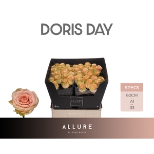 R GR DORIS DAY ALLURE .