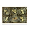Nest met 2 Kwarteleierenn 6nest/ds