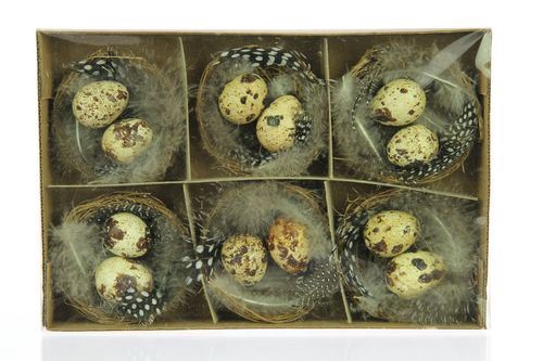 Nest met 2 Kwarteleierenn 6nest/ds