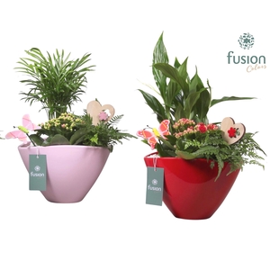 Keramieken pot ovaal div. kleuren met ArrD22.5 H40