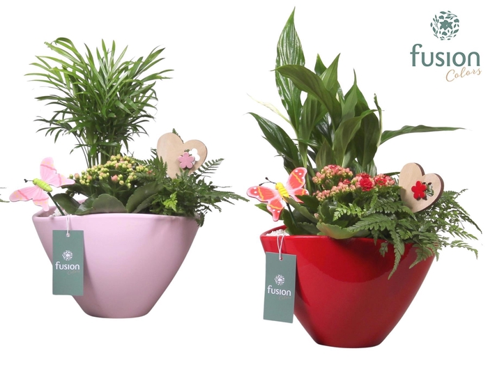 <h4>Keramieken pot ovaal div. kleuren met ArrD22.5 H40</h4>