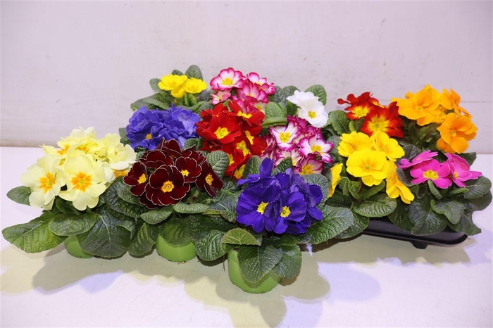 <h4>arr8 Prim Ac Gem</h4>