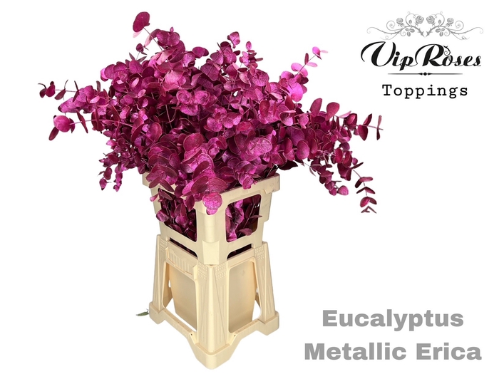 <h4>Euca Cinerea Metallic Erica 300gr</h4>