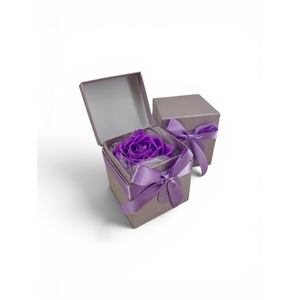 ARR ROSA POT H%