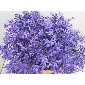 Ruscus Prik Paars Glitter