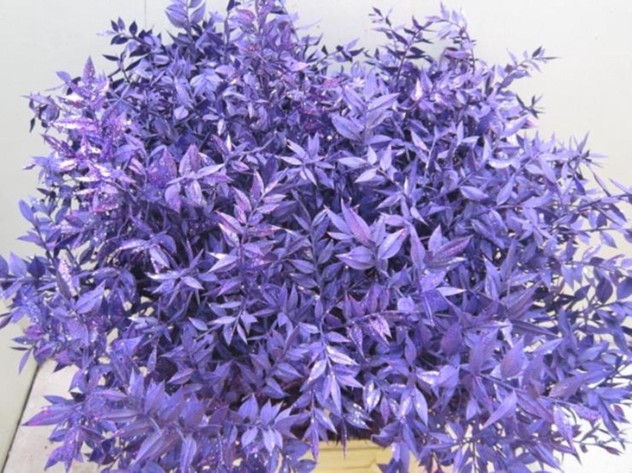 <h4>Ruscus Prik Paars Glitter</h4>