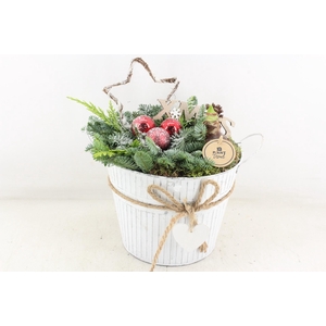 arr4 Amaryllis PL - Zink emmer met hart x2