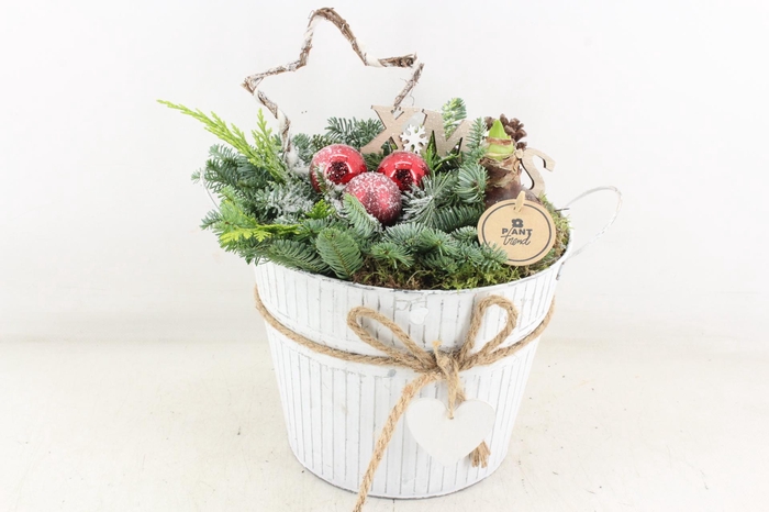 <h4>arr4 Amaryllis PL - Zink emmer met hart x2</h4>