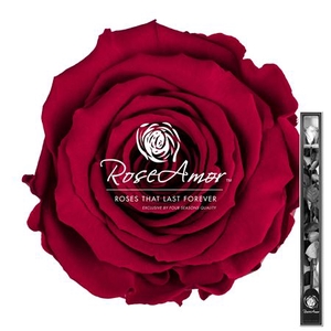 60cm Stem Pin02