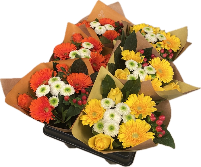 <h4>Bouquet Sixpack Hot</h4>
