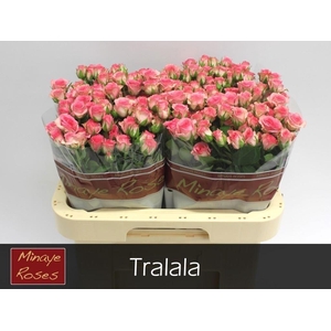 R TR TRALALA