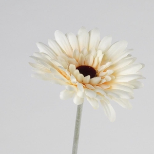 AF Gerbera L58cm Cream