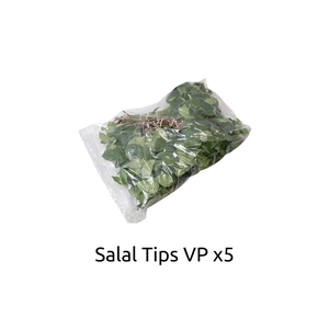 Salal Tip Sleeved X5