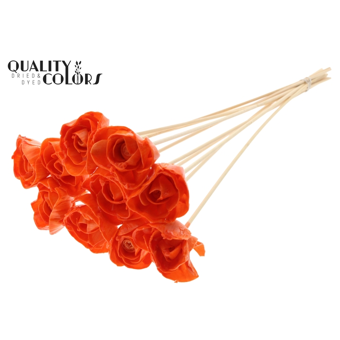 <h4>Shola Dear Holly 6cm on stem Wax Orange</h4>