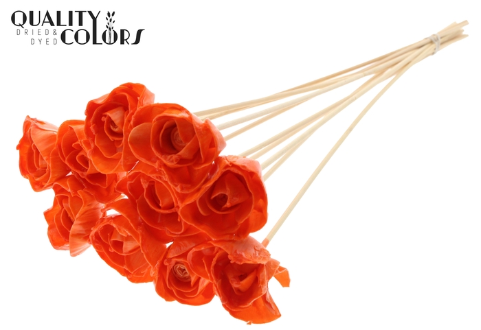 Shola Dear Holly 6cm on stem Wax Orange