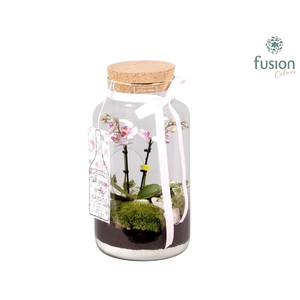 Green Bottle met Arrangement.