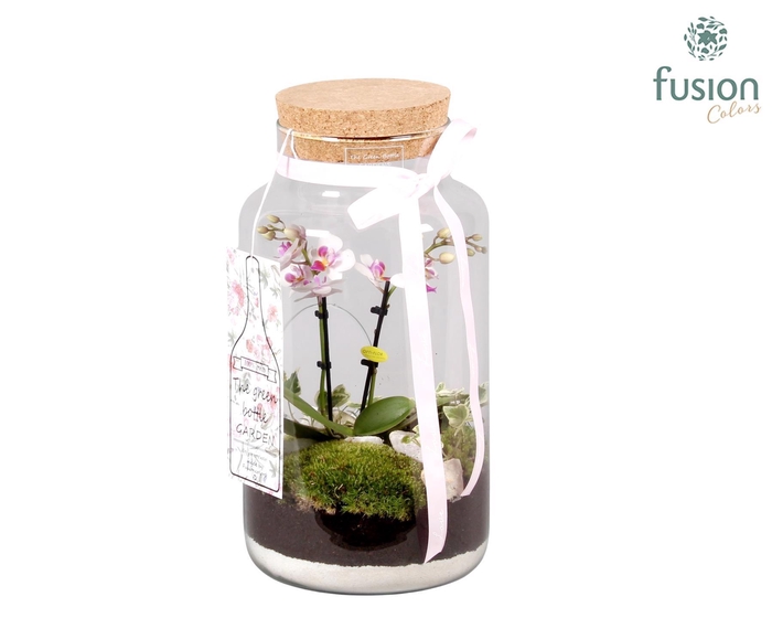 <h4>Green Bottle met Arrangement.</h4>