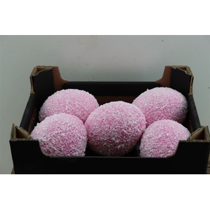 Deco Egg Ostrich Flaked Wax Pink Roze