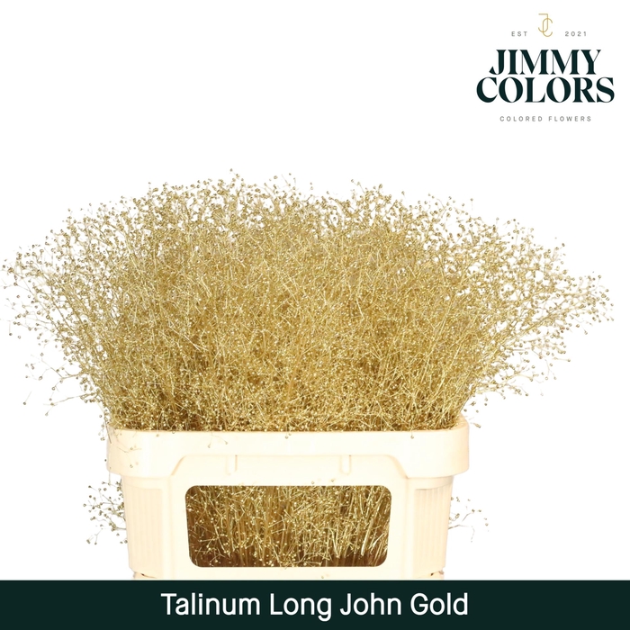 <h4>Talinum Long John L80 Goud</h4>