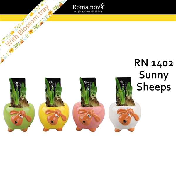<h4>1402 - Sunny Sheeps (Tete a Tete)</h4>