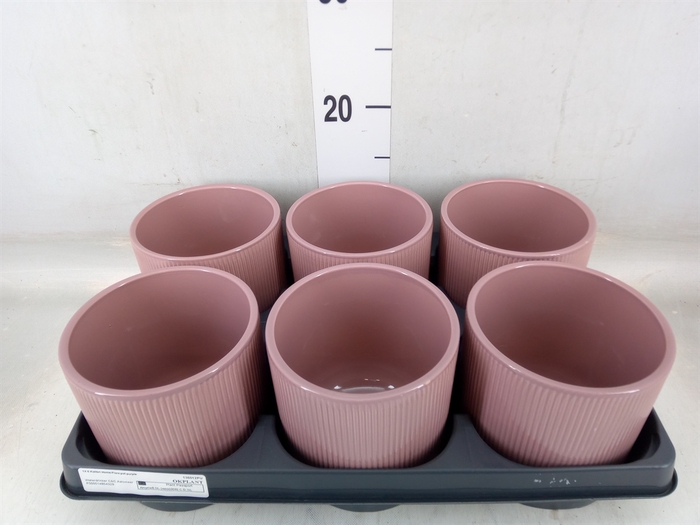 <h4>Pot   ...Keramische H%</h4>