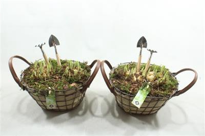 <h4>1322 Gaasmand Jute</h4>