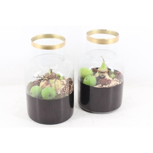 arr4 Amaryllis PL - Glas milano black&gold