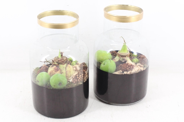 <h4>arr4 Amaryllis PL - Glas milano black&gold</h4>