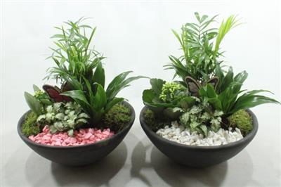 <h4>5613 Ebbi Indoor</h4>