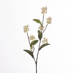 AF Symphoricarpos L71cm White