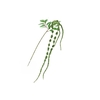 Amaranthus Spray Green FL440079GRN