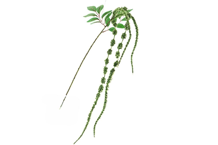 Amaranthus Spray Green FL440079GRN
