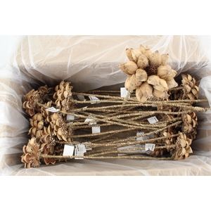 Stick Dahlia Sweet Natural