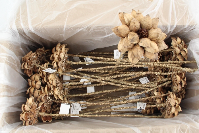 <h4>Stick Dahlia Sweet Natural</h4>