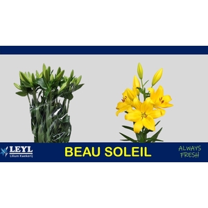 LI LA BEAU SOLEIL
