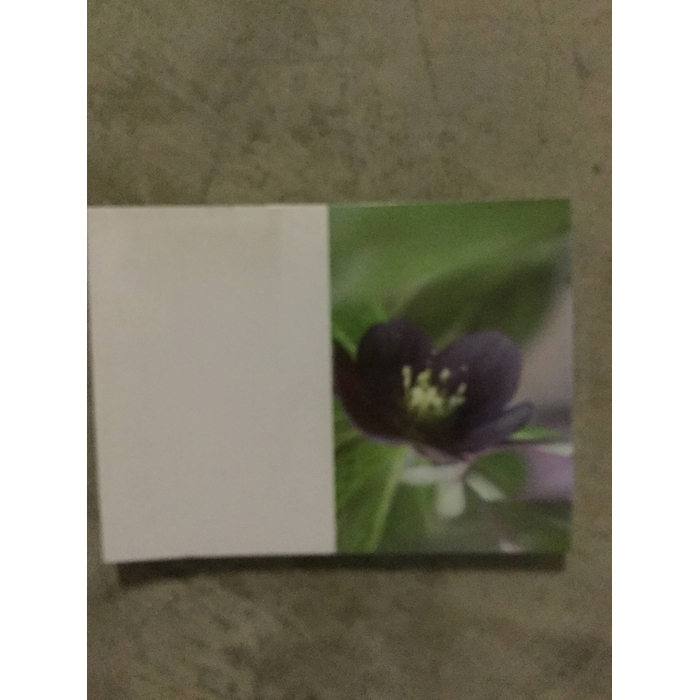 <h4>KAART LARGE</h4>