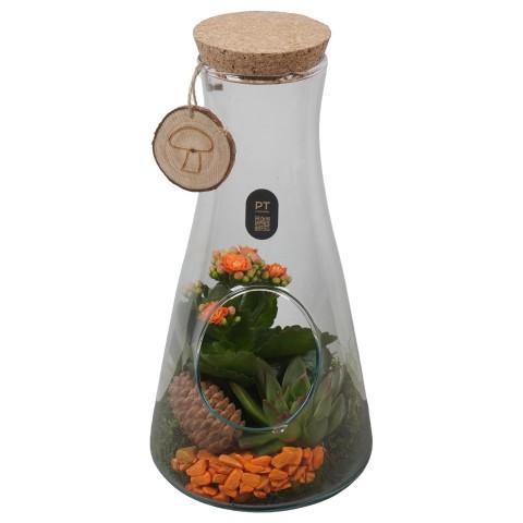 <h4>PTHG8288 Arrangement Autumn Glass in glazen terrarium</h4>
