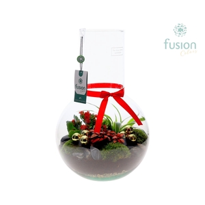 Green Bottle Suzanne Large met Kerst arrangement