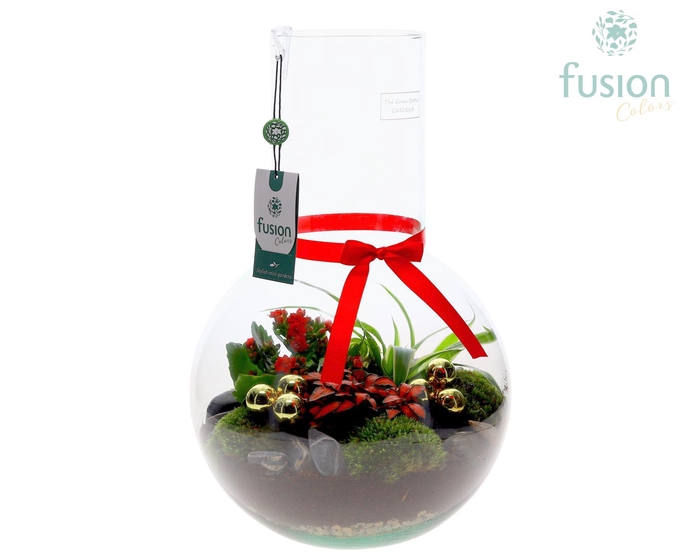 <h4>Green Bottle Suzanne Large met Kerst arrangement</h4>